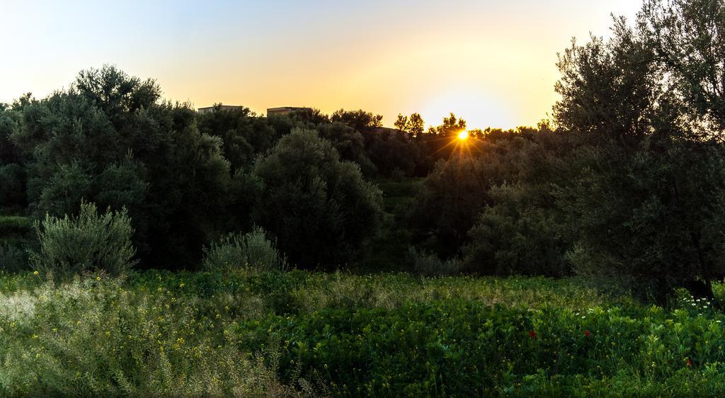 Riad Sougtani Tazrou Εξωτερικό φωτογραφία