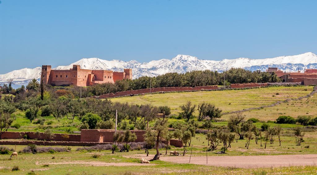 Riad Sougtani Tazrou Εξωτερικό φωτογραφία